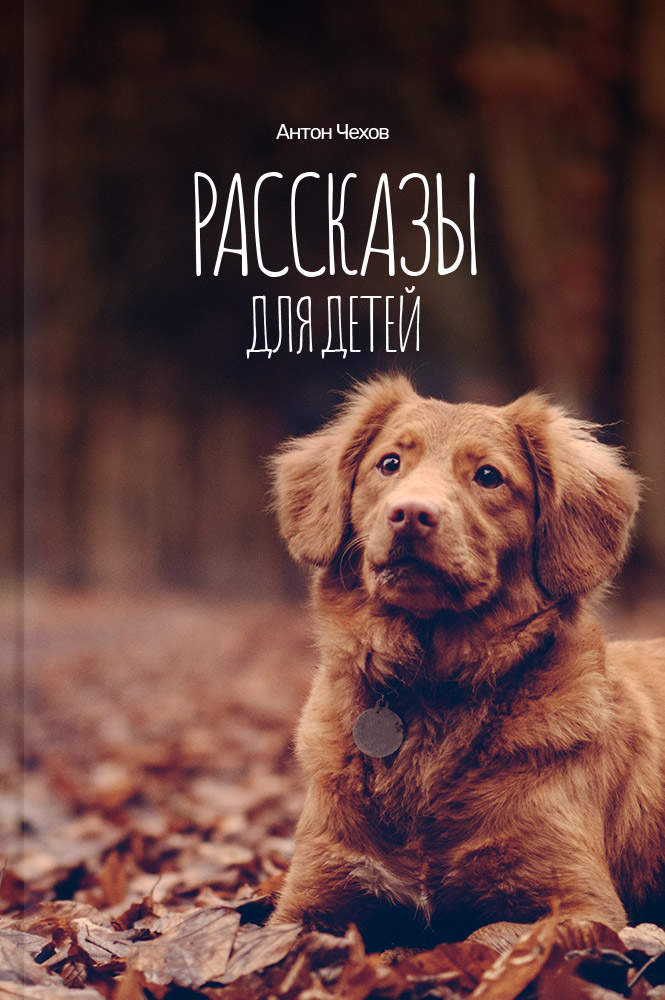 обложка книги Рассказы для детей