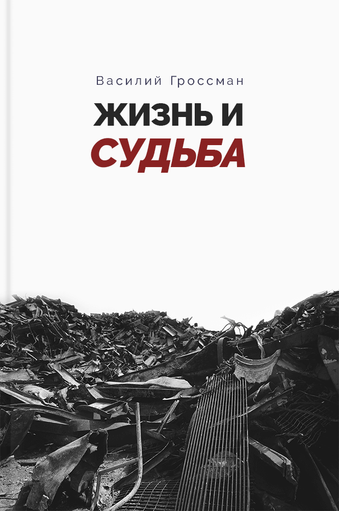 обложка книги Жизнь и судьба