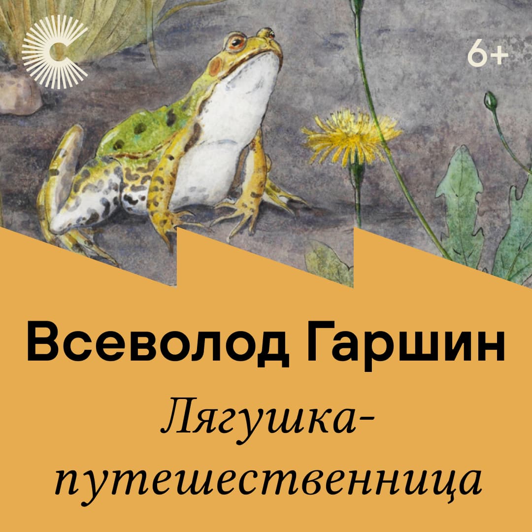 обложка книги Лягушка-путешественница
