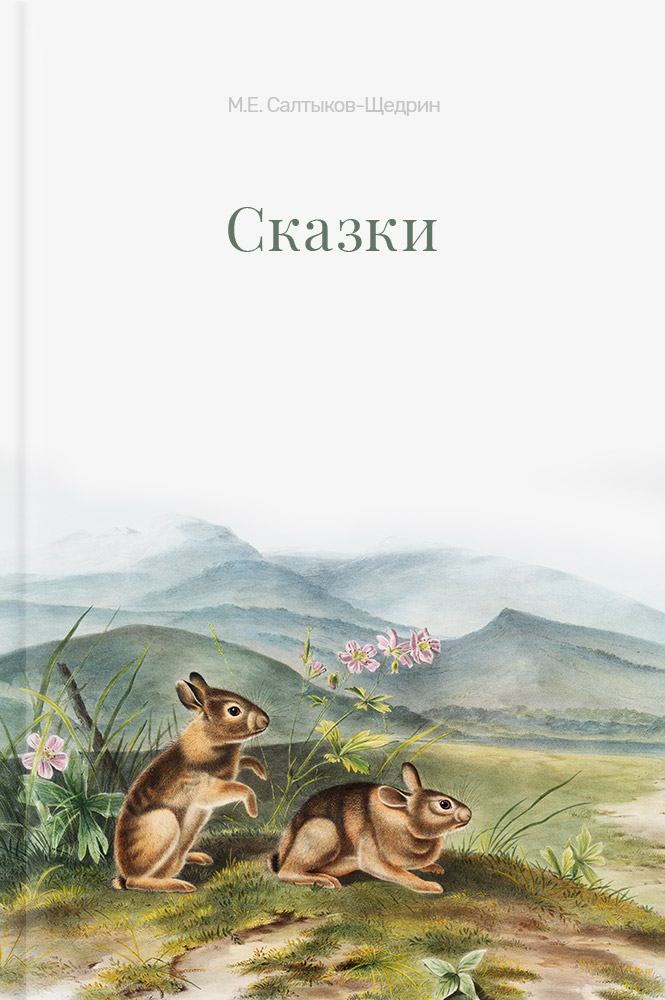 обложка книги Сказки