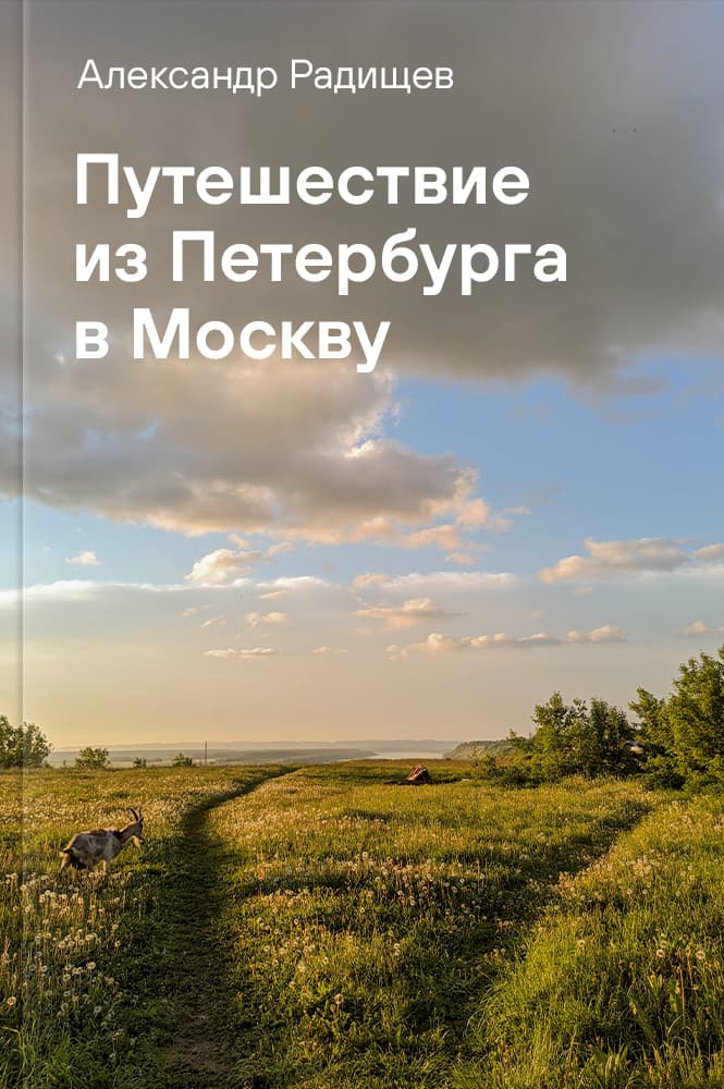 обложка книги Путешествие из Петербурга в Москву