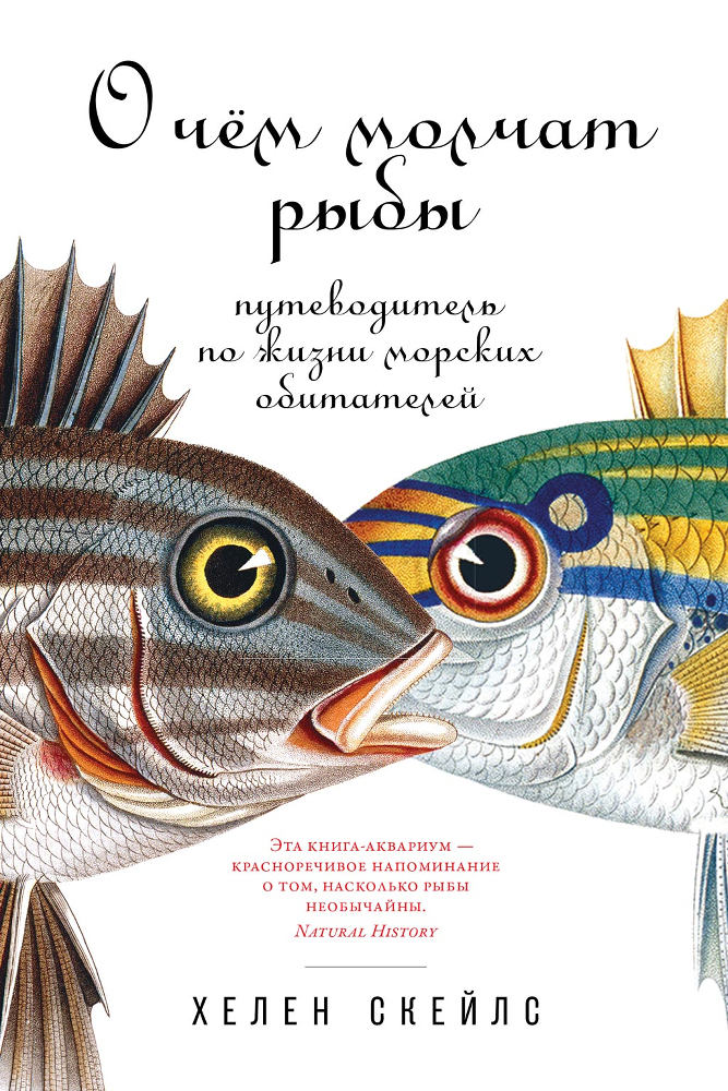 обложка книги О чём молчат рыбы: Путеводитель по жизни морских обитателей